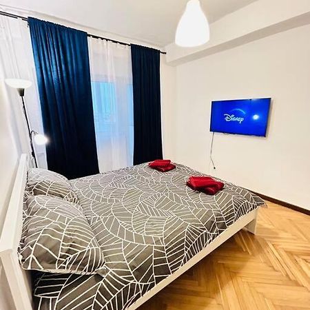 Cosy Apartment #12Lunipebega 蒂米什瓦拉 外观 照片