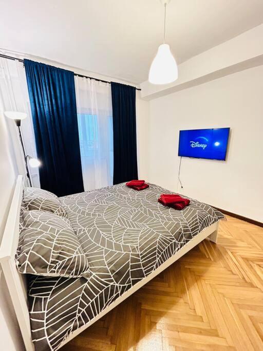 Cosy Apartment #12Lunipebega 蒂米什瓦拉 外观 照片