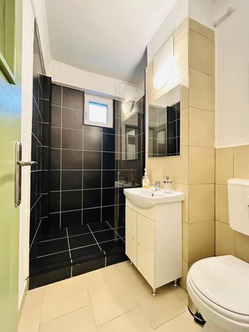 Cosy Apartment #12Lunipebega 蒂米什瓦拉 外观 照片
