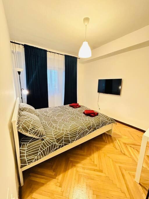 Cosy Apartment #12Lunipebega 蒂米什瓦拉 外观 照片